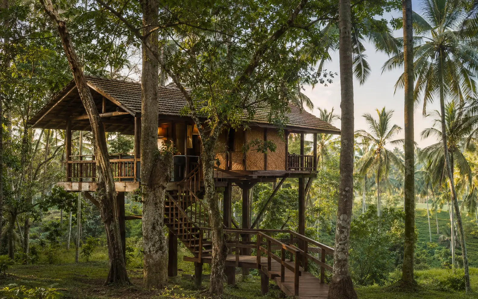Tree house surrounded by tropical greenery