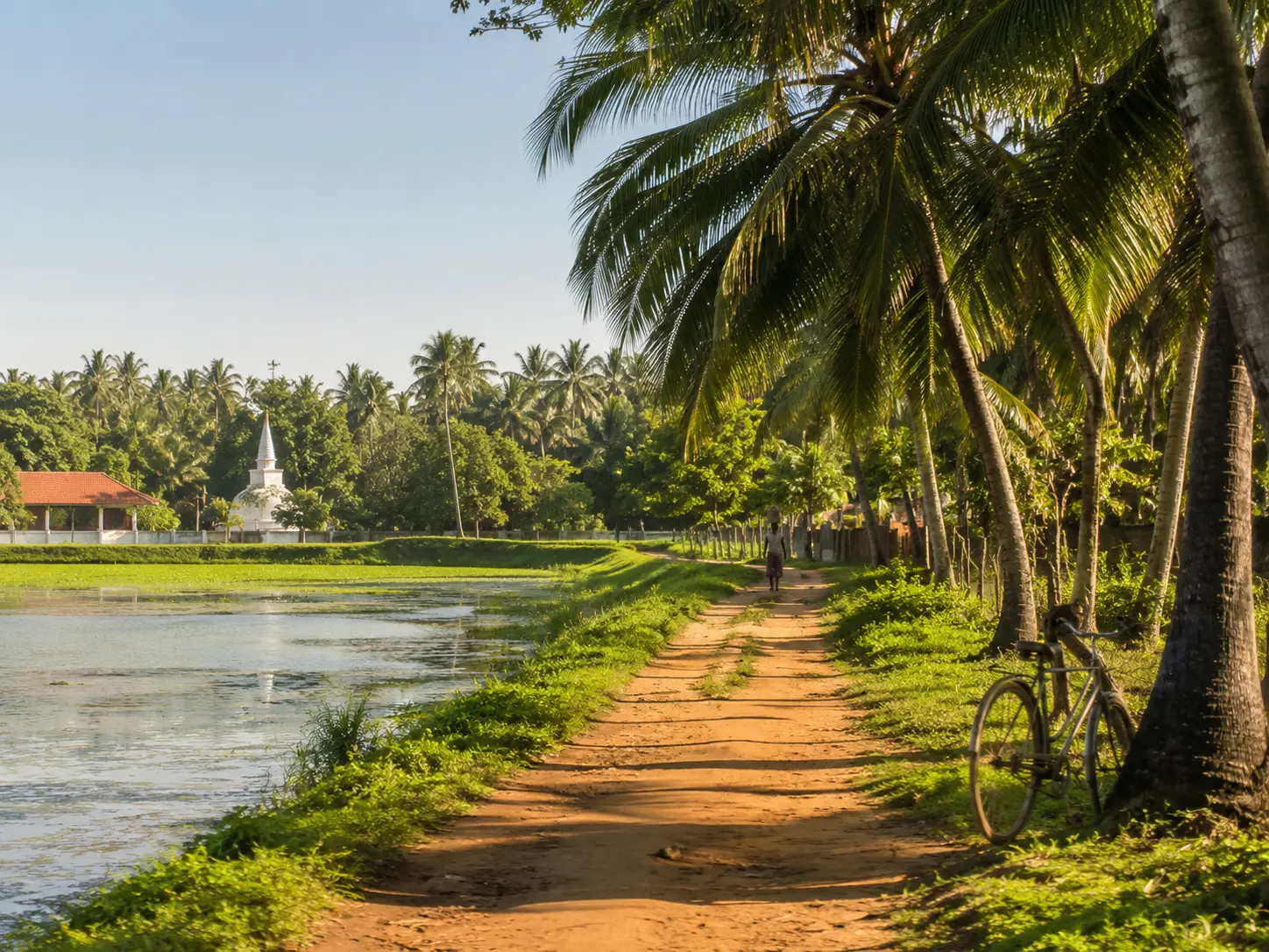 Village route through the countryside near Palm Grove